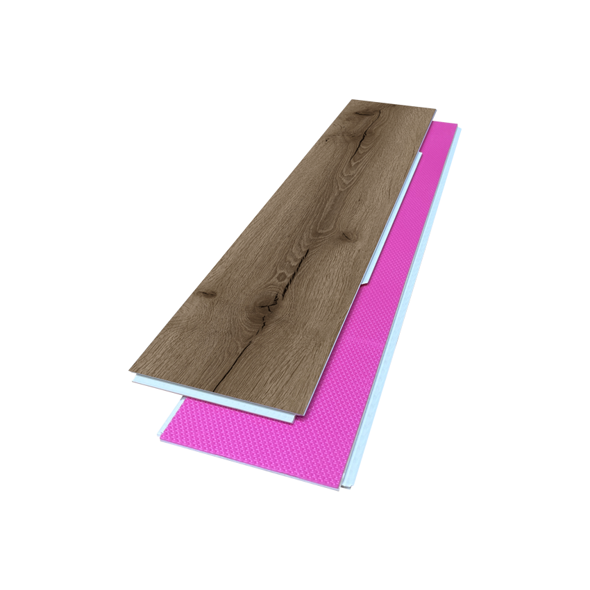 CWHB 03 American Elm